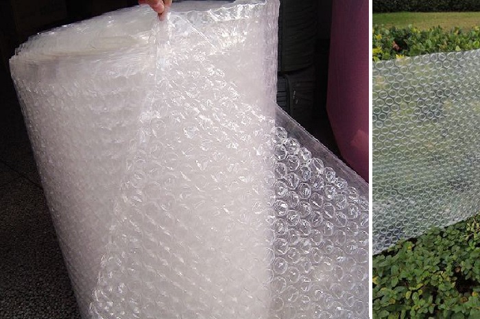 bubble sheet